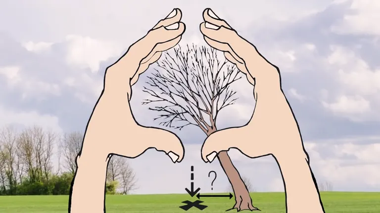 Illustrated hands framing a leafless tree with a question mark and an ‘X’ at the base, indicating a safe tree felling plan
