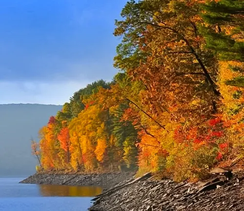 Autumn foliage lining the serene waters of Allegheny National Forest