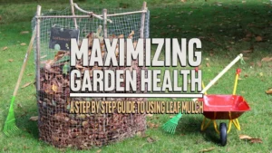 Maximizing Garden Health: A Step-by-Step Guide to Using Leaf Mulch