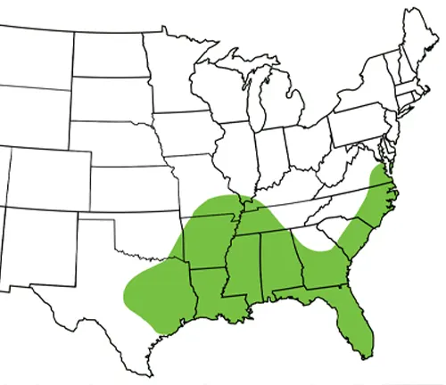 Map of U.S. highlighting Cottonmouth snake’s range in green