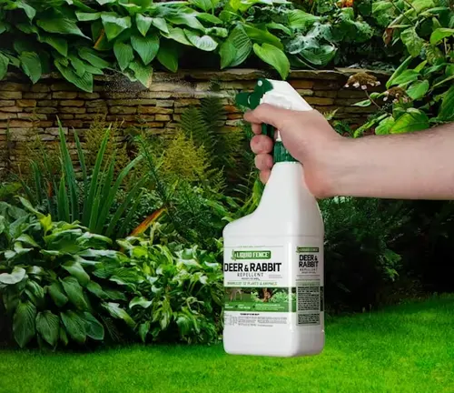 A hand holding a ‘Deer & Rabbit’ repellent spray bottle in a lush garden