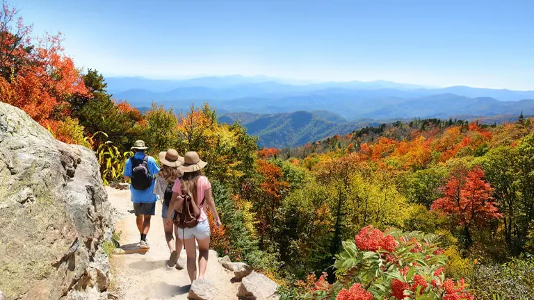 hikers walking on a rocky trail amidst vibrant autumn foliage in Pisgah National Forest, with a panoramic view of blue mountains under a clear sky