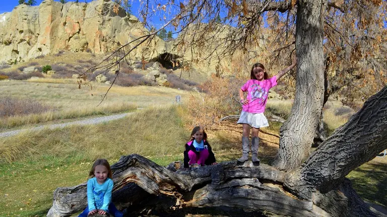 Children playing on a tree trunk at Pictograph Cave State Park with rocky formations in the background