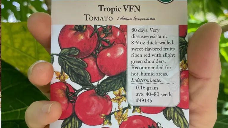 A hand holding a Tropic VFN Tomato seed packet, highlighting its disease resistance and suitability for hot, humid areas