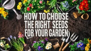 How to Choose the Right Seeds for Your Garden