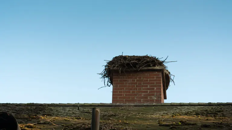 Brick chimney with a large bird’s nest on top against a clear blue sky