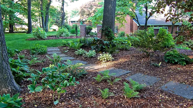 a well-maintained garden in a recreational area, with various types of green plants providing a rich texture and diversity