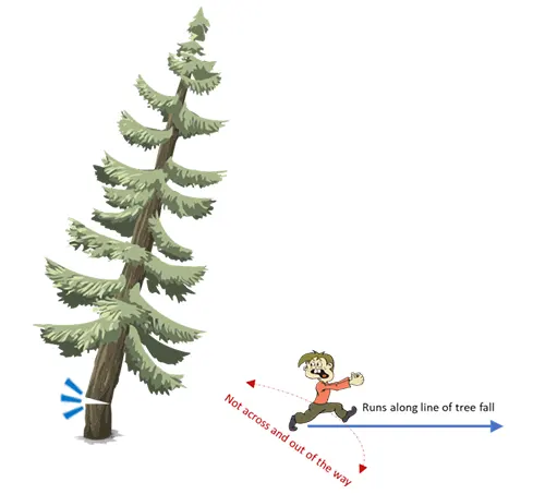 Illustration of person in red shirt running from a falling tree along the line of tree fall