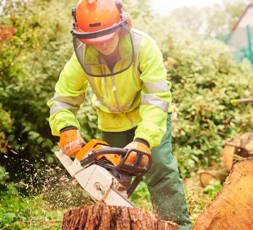 Person in safety gear using chainsaw to fell a tree