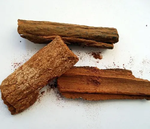 Three pieces of Cinchona bark on a white background
