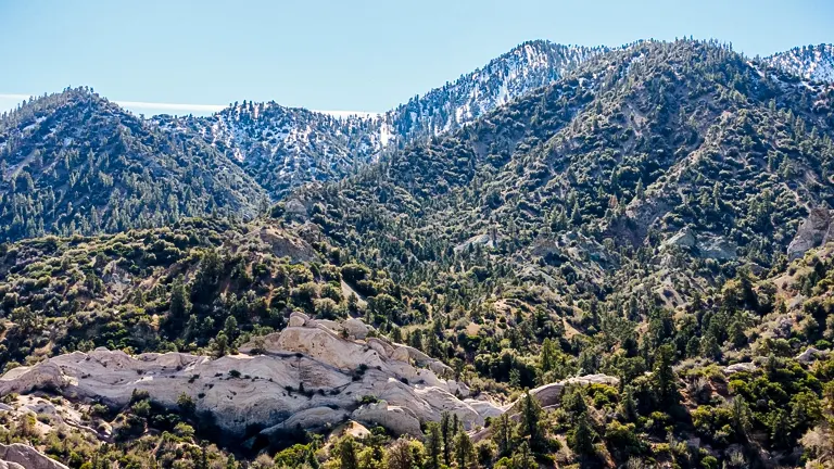 Angeles National Forest