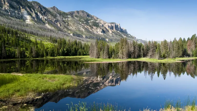 Serene view of Shoshone National Forest with mountains and trees reflected in a calm lake
