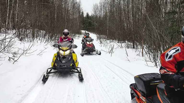 Snowmobilers riding through a snowy trail in Shoshone National Forest