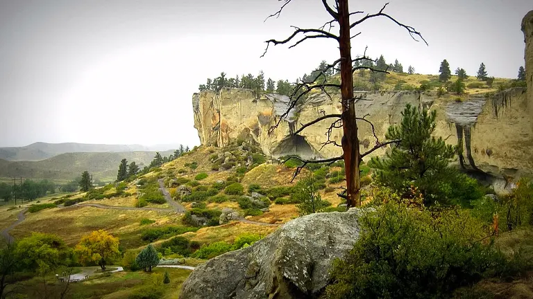 Scenic view of Pictograph Cave State Park with rocky cliffs, greenery, and a dead tree