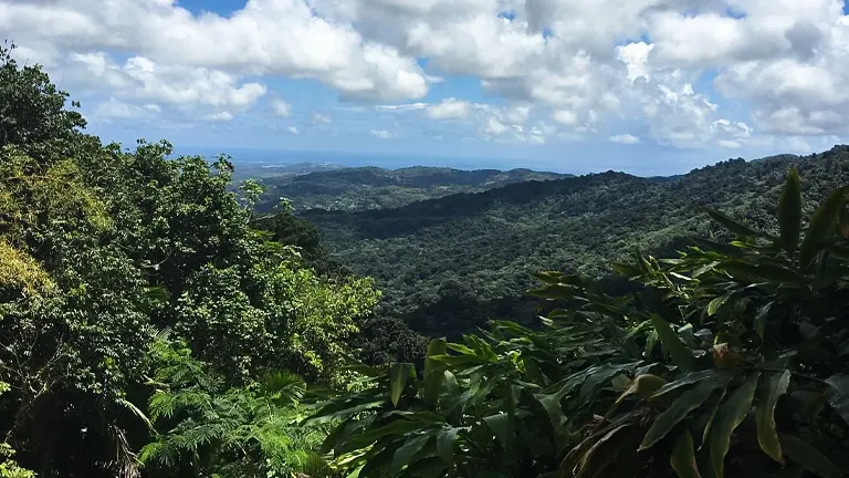 Panoramic view of El Yunque National Forest with lush greenery and scattered clouds