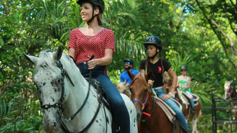 People horseback riding in El Yunque National Forest