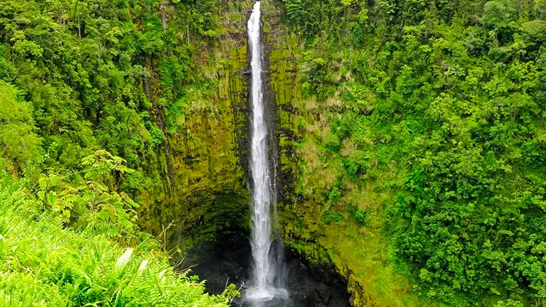 Waterfall amidst lush greenery at Akaka Falls State Park