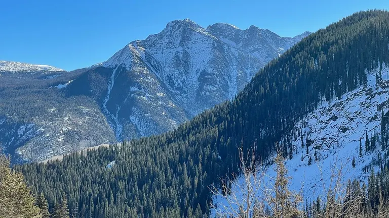 Breathtaking view of snow-capped mountains and dense forest in San Juan National Forest