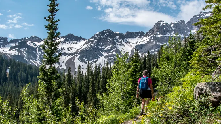 Hiker exploring the lush greenery of San Juan National Forest with towering mountains in the backdrop