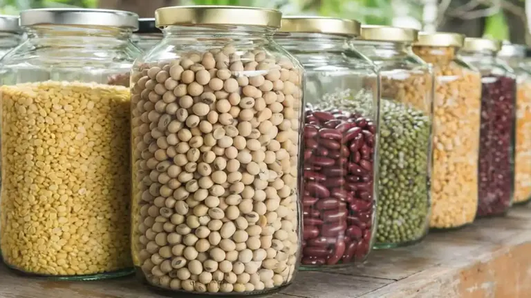 Variety of seeds stored in clear jars on a wooden surface, symbolizing effective seed storage