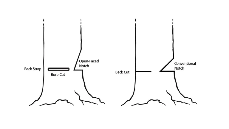 Diagram showing three types of tree felling cuts: back strap, open-faced notch, and conventional notch