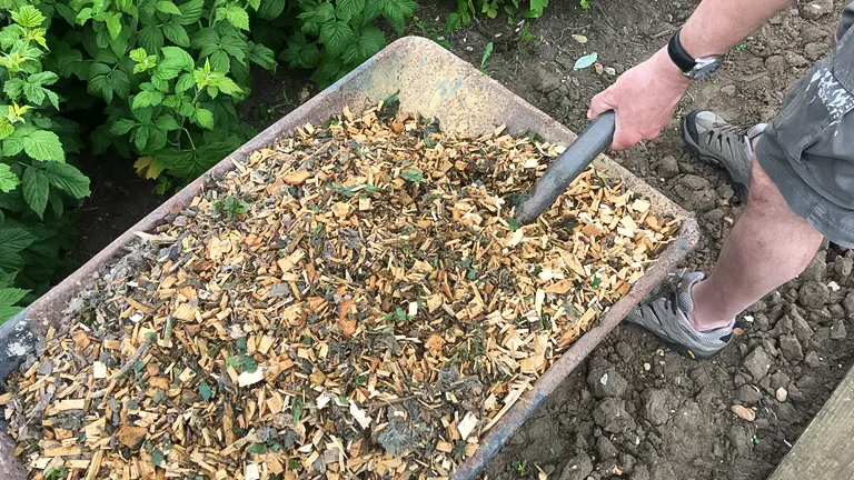 Person handling wood chips in a wheelbarrow surrounded by green plants