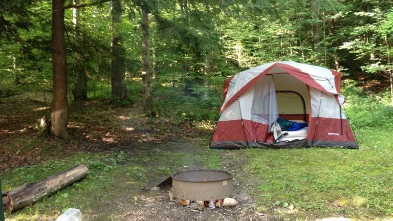 Camping site in Allegheny National Forest with a tent, fire pit, and surrounding greenery