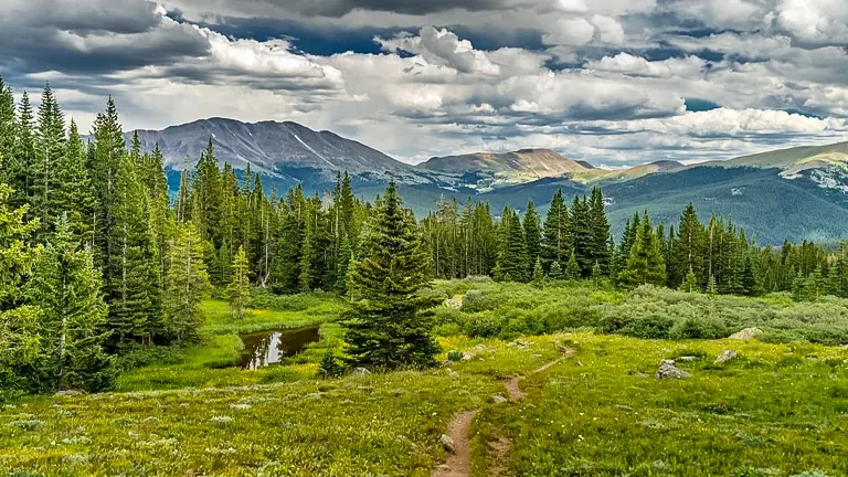 Carson National Forest