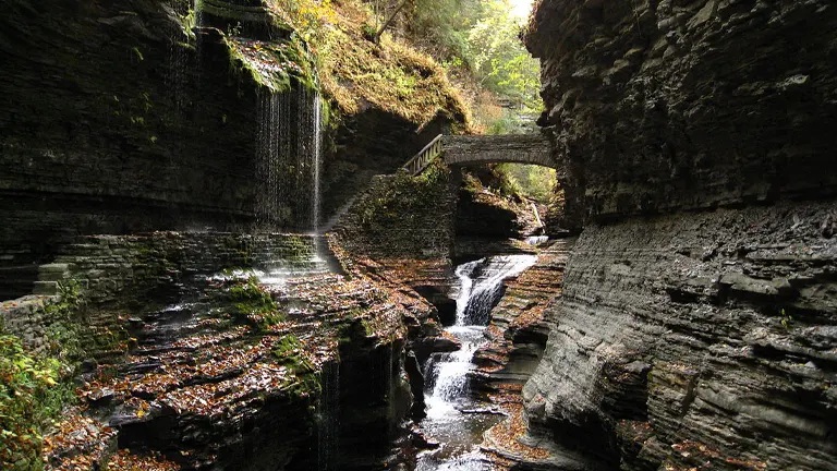 Watkins Glen State Park