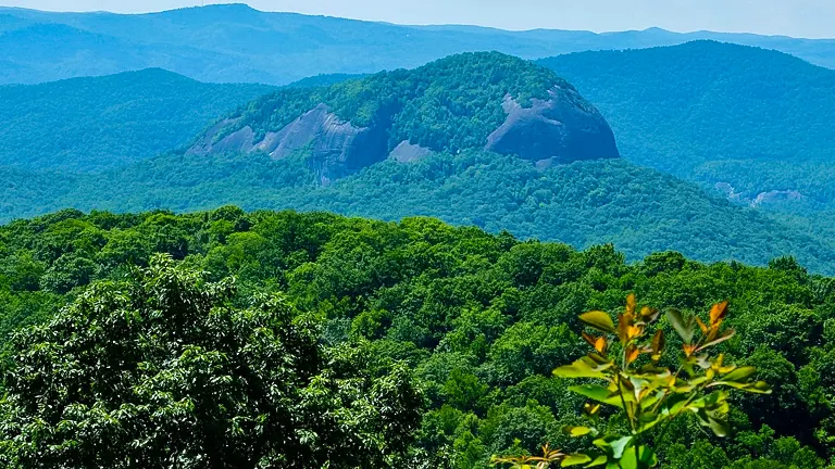 Pisgah National Forest