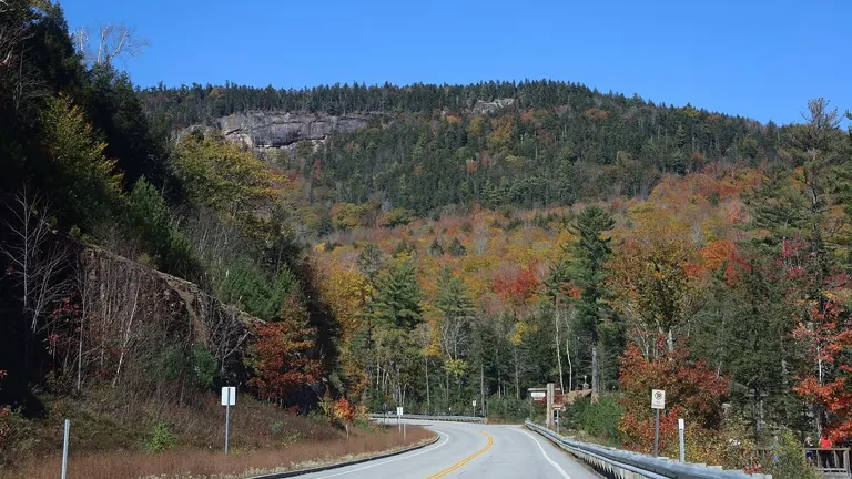 A winding road through the colorful autumn foliage in White Mountain National Forest