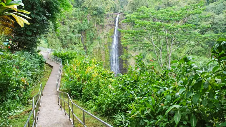 Scenic view of Akaka Falls amidst lush greenery, viewed from a walking path at Akaka Falls State Park