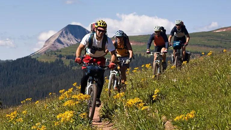 Bikers riding on a mountain trail surrounded by wildflowers with a scenic mountain backdrop