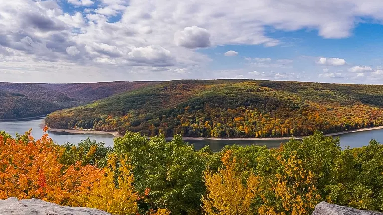 Allegheny National Forest