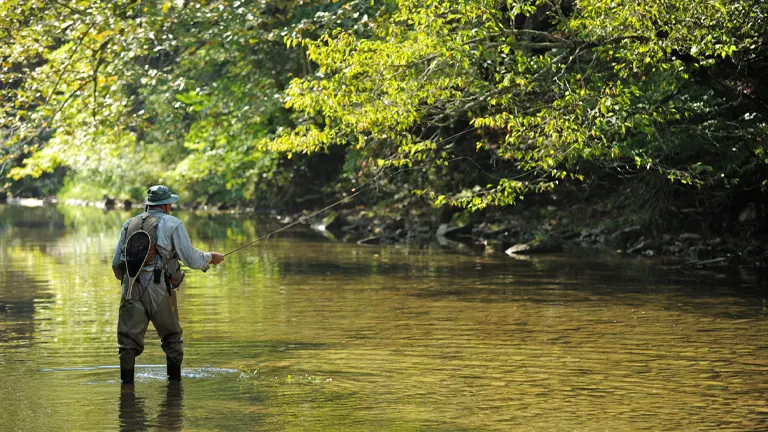 Person fishing in the serene waters of Allegheny National Forest surrounded by lush greenery