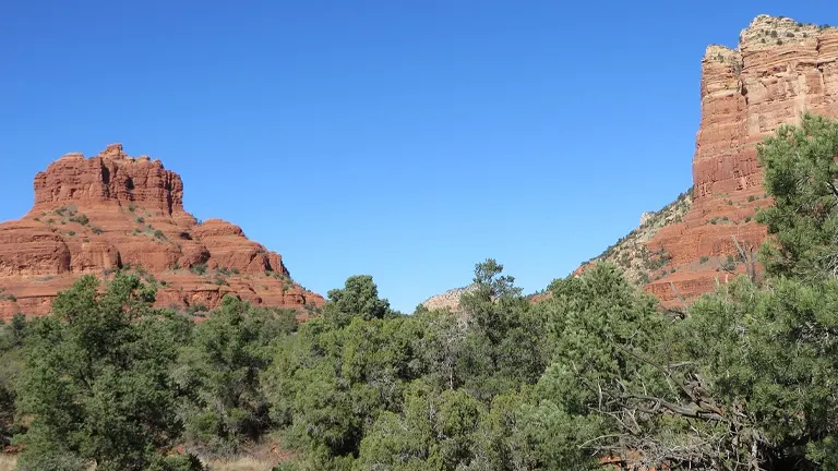 Coconino National Forest