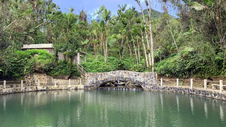 Stone bridge over a calm pond surrounded by lush greenery and a small building in El Yunque National Forest