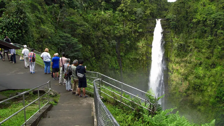 Visitors at Akaka Falls State Park observing the waterfall amidst lush greenery
