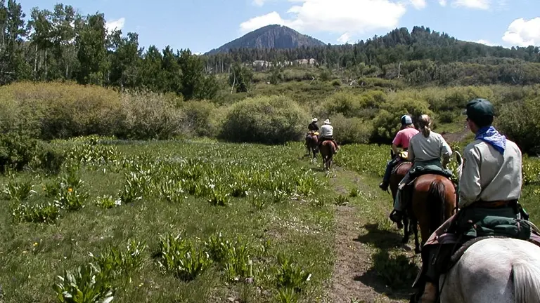Horseback riders exploring a lush green field in San Juan National Forest with a mountain backdrop