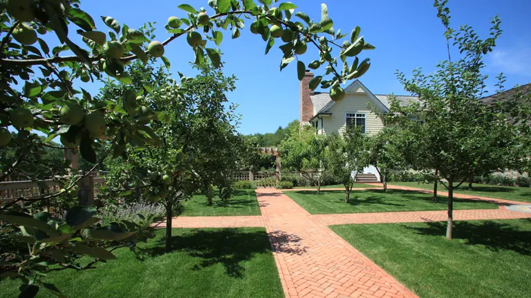 A lush garden with dwarf fruit trees lining a brick pathway leading to a charming house