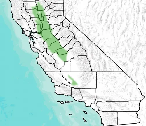 Map showing distribution of Giant Garter Snake in California