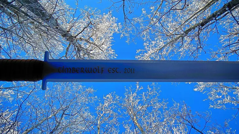 A square-tipped sword with text engraving, held up against a clear blue sky with bare branches