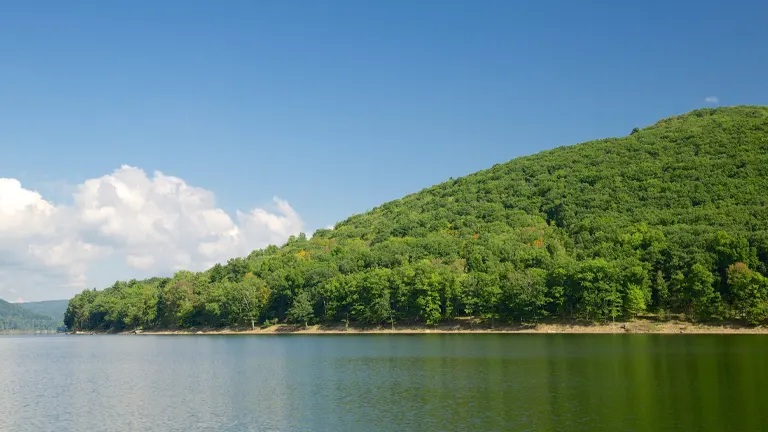 Lush green hillside of Allegheny National Forest reflecting in calm waters under a clear blue sky