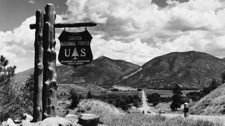 Carson National Forest