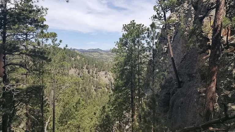 Scenic view of Custer State Park with towering pine trees, rugged cliffs, and distant rolling hills