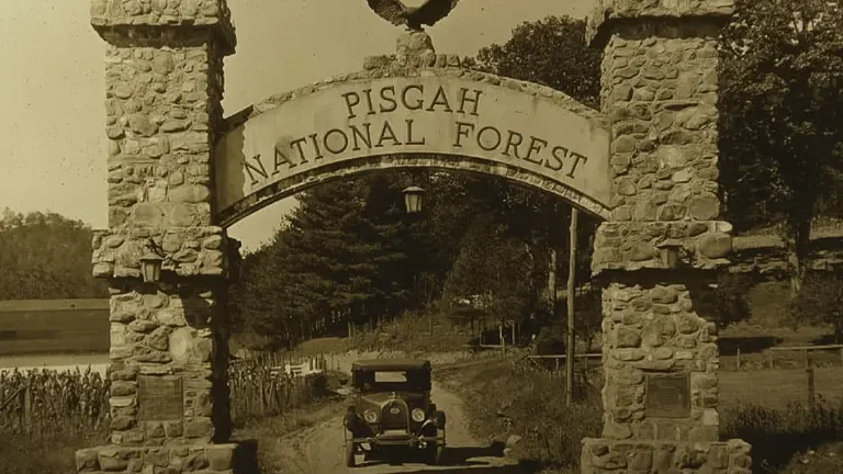 Vintage car entering Pisgah National Forest under stone archway