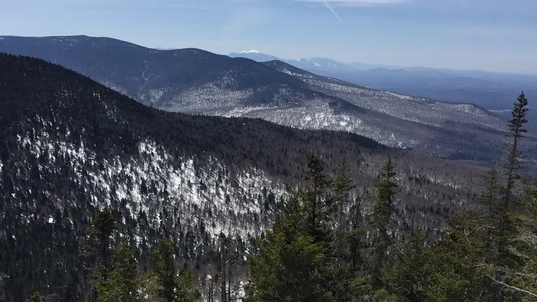 A panoramic view of White Mountain National Forest with snow-covered slopes and green pine trees under a clear sky
