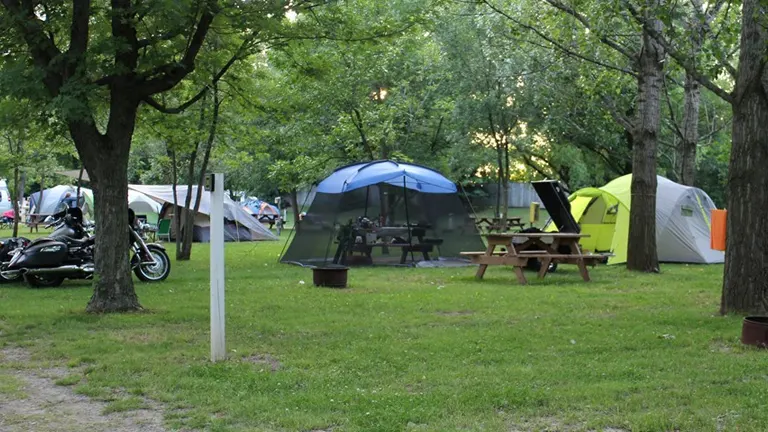 Camping area with tents, a motorcycle, and picnic tables amidst green trees at Niagara Falls State Park