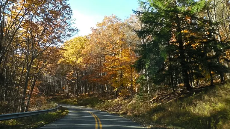 Winding road through Allegheny National Forest with colorful autumn foliage
