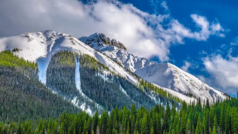 Carson National Forest